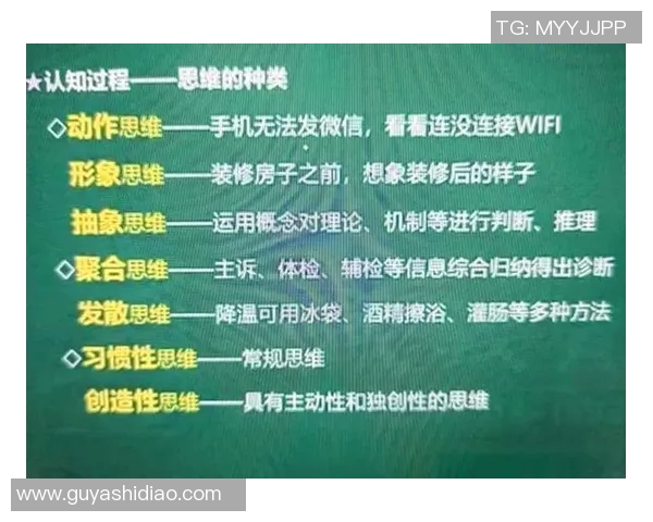 数据分析V5意识表现的多维度探讨与实践应用分析