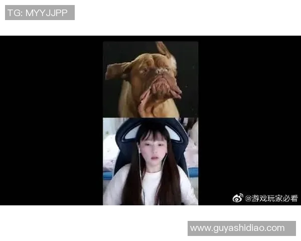 聚焦和平精英IG的节奏话题探讨游戏内社交与竞技的完美结合